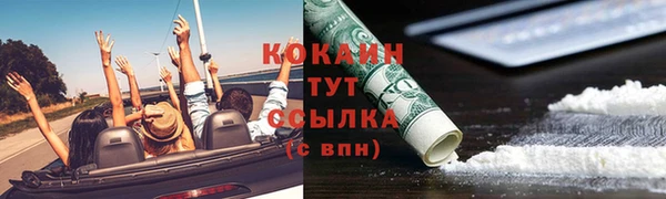 трава Магас
