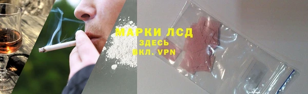 трава Магас