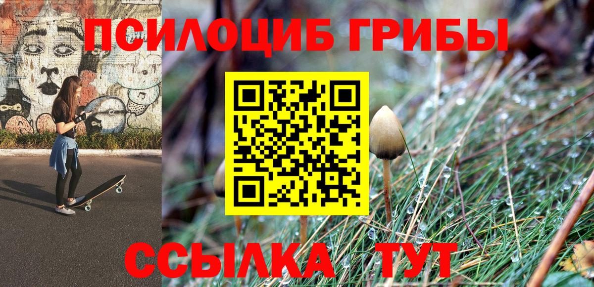 Галлюциногенные грибы Psilocybe  Галлюциногенные грибы GOLDEN TEACHER  Шебекино  Вход с VPN 