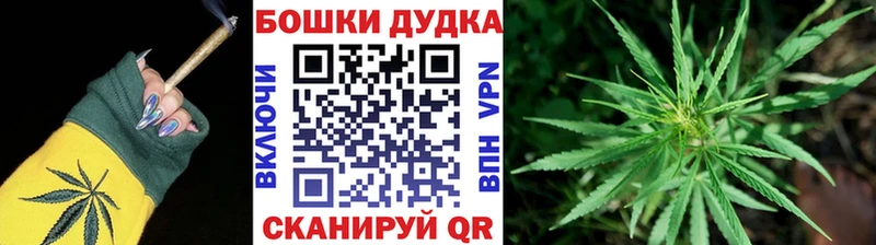 Конопля марихуана Шебекино
